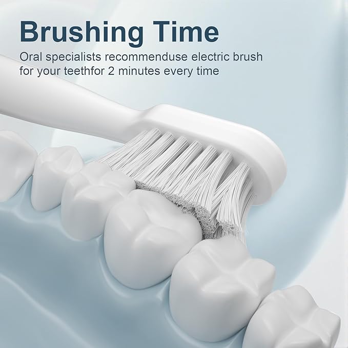 Electric Toothbrush Set with Drying & Sanitizing Holder, 8 Replacement Brush Heads, Transparent Rinse Cup, Smart Timer, USB Rechargeable for Adults