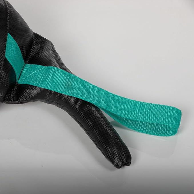 Titan Fitness 20 LB Functional Training Swing Bag, PU Material Bulgarian Power Sand Bag, Multiple Grips for Squats, Lunges, Throws, and More-StrideForce Fitness