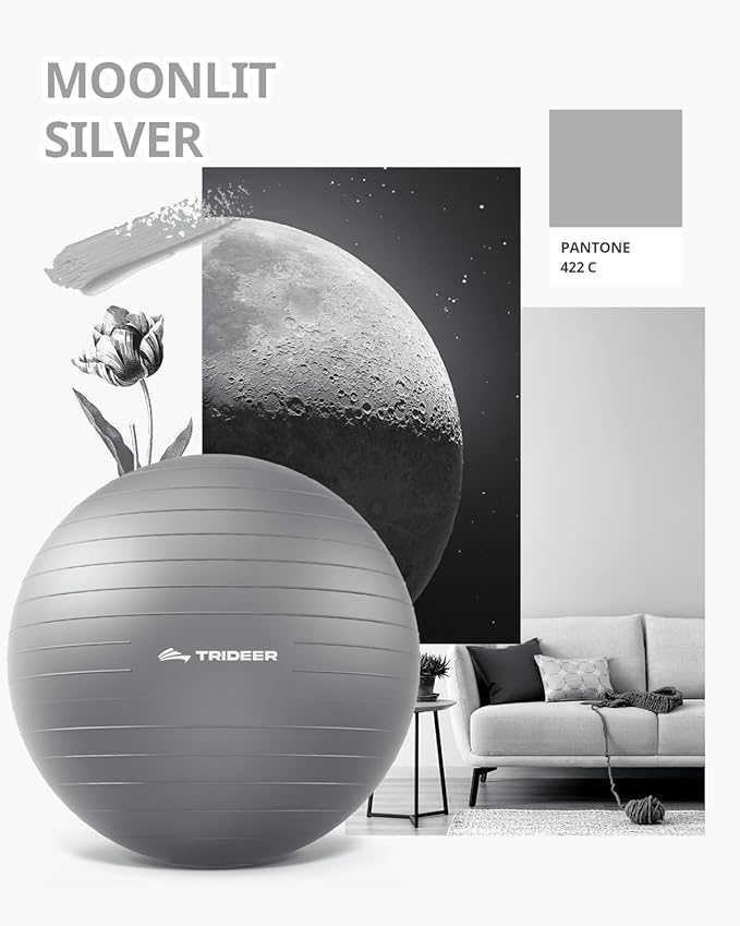 Trideer Yoga Ball – Anti-Burst Exercise Ball for Pregnancy, Office, Birthing, Stretching & Core Workout – Home Gym & Therapy-StrideForce Fitness