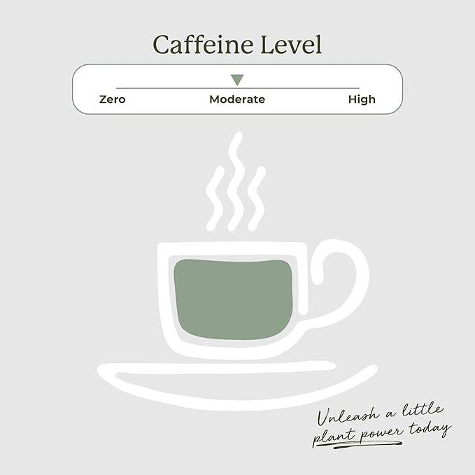 Starwest Botanicals Organic Jasmine Tea - Caffeinated Herbal Blend, Green Tea Scented with Natural Jasmine Flowers, Fragrant & Uplifting, Enjoy Hot or Iced, USDA Organic - Bulk Pack, 100 Tea Bags-StrideForce Fitness