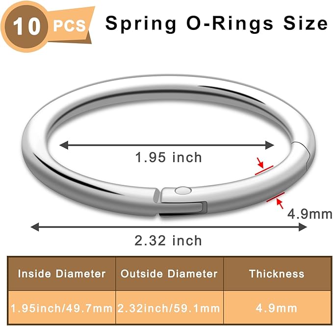 10Pack 2" Large Round Carabiner Clips, Metal Spring O Rings for Organizer Key Rings, Paracord Keychain Lanyard, Pet Chains, Purse Hardware, Key Snap Hooks DIY Accessory (Silver)-StrideForce Fitness