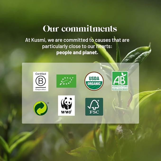 Kusmi Tea - Pack of 2 Boxes of Tea Bags - Detox - Organic Blend of Green Tea, Mate & Lemon - Lemongrass, Rose Hip and Lemon Flavours - Enjoy Hot or Iced - 2x20 Tea Bags-StrideForce Fitness