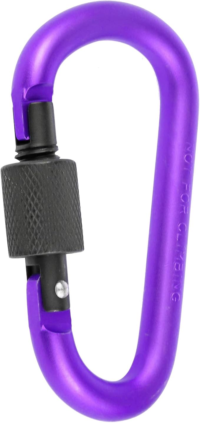 10 Pack Aluminum D Ring Key Rings Hiking Clips Locking Carabiner for Hiking Camping Fishing and Outdoor Use，Clips with Screw Gate Multicolored-StrideForce Fitness