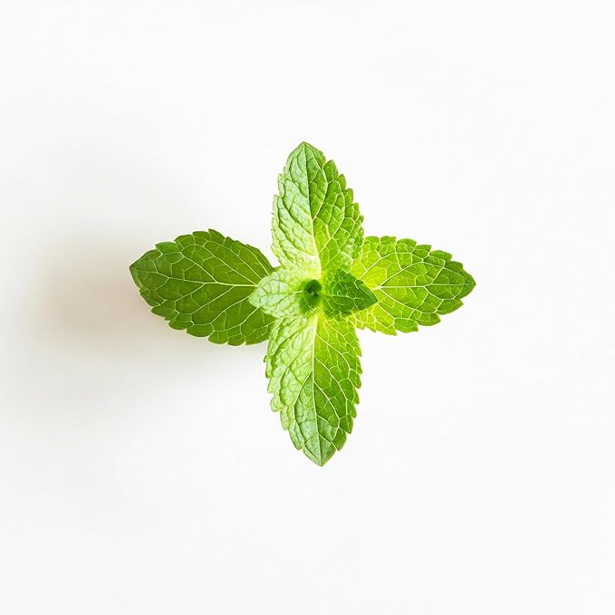 Essential Oxygen Certified BR Organic Brushing Rinse, All Natural Mouthwash for Whiter Teeth, Fresher Breath, and Happier Gums, Alcohol-Free Oral Care, Peppermint, 32 Ounce