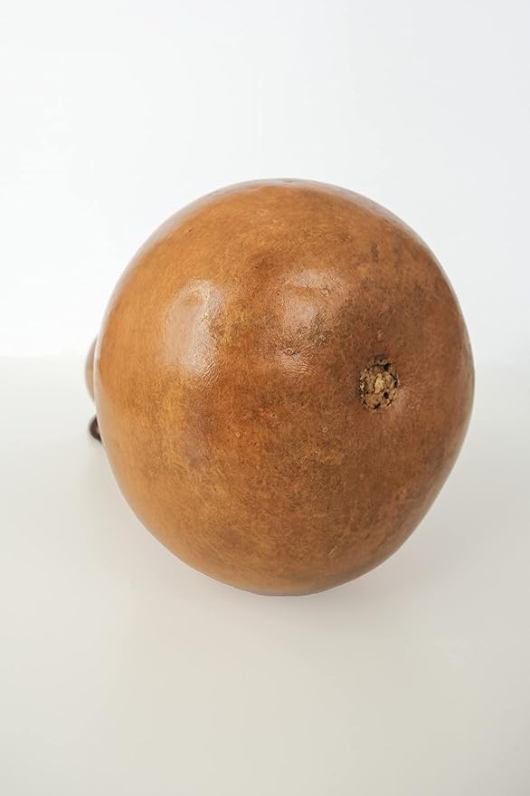 Ipu: professional concert performance level Hawaiian gourd - small size - handmade natural materials - 20 to 22.75inches-StrideForce Fitness