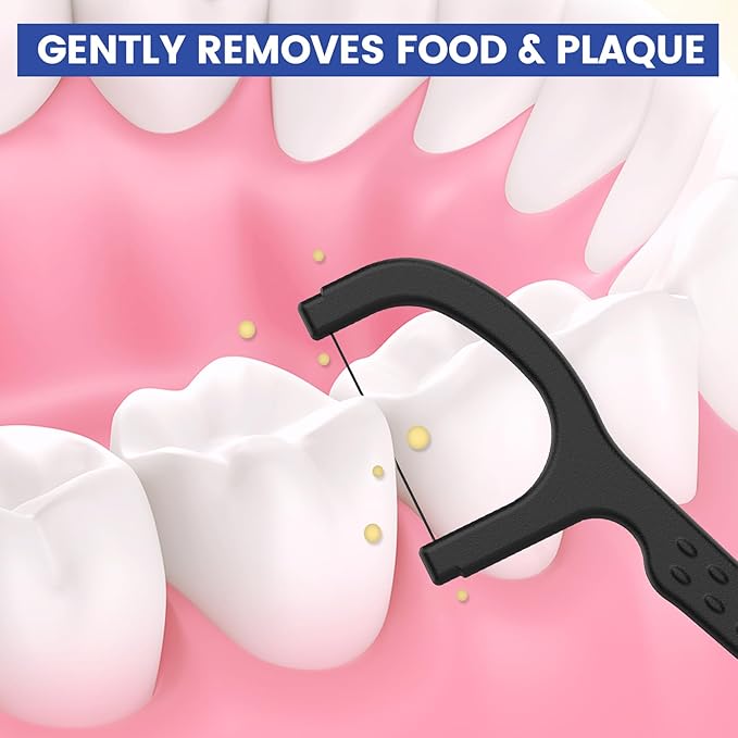 RAZOKO Natural Dental Floss Picks High Toughness Charcoal Toothpicks Sticks-Vegan,Eco-Friendly Sustainable Flossers for Teeth Cleaning 100 Count