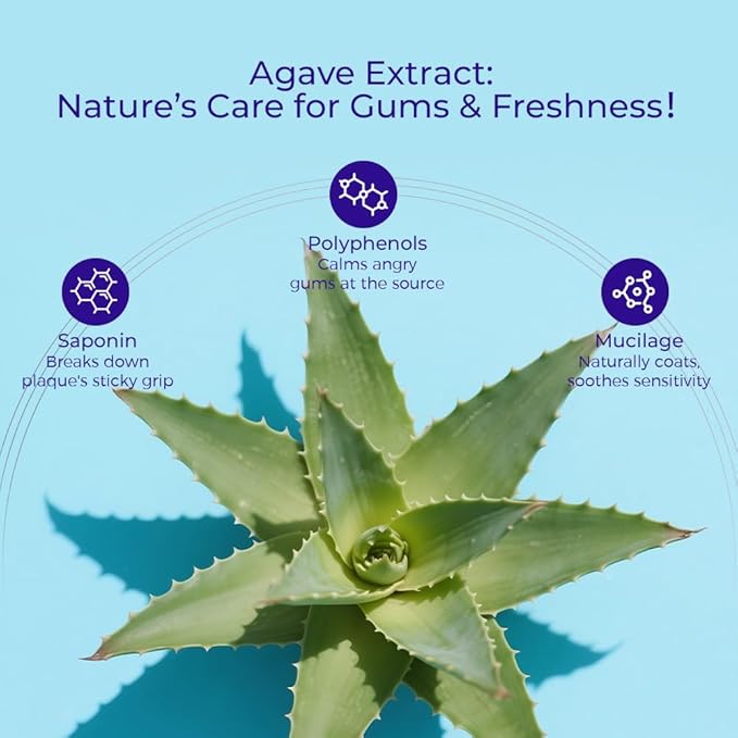 Agave Sensitive Toothpaste, Fluoride-Free Natural Whitening Toothpaste for Sensitive Teeth, Gentle Gum Care, Helps Remove Stains, Fresh Mint Herbal Formula, 3 Pk US Manufactured
