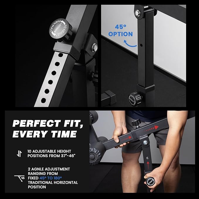 LIONSCOOL Heavy-Duty Adjustable Roman Chair - Back Extension Bench with Multiple Adjustment Functions- Hyperextension Bench Perfect for Home Gym-StrideForce Fitness