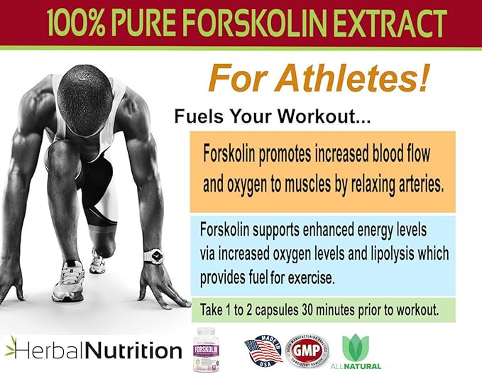 Forskolin for Weight Loss, 250mg-500mg Max Strength Forskolin Two Pack 90 Count Bottles, 20% Extract of Pure Forskolin, Ideal Diet and Athletes Formula!-StrideForce Fitness