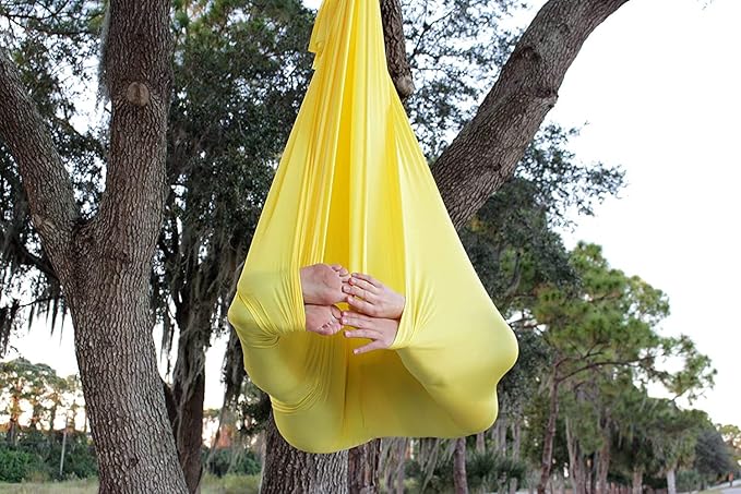 F.Life Aerial Silk Yoga Hammock & Swing for yoga Inversion,Strength training,starter hardware kit-StrideForce Fitness