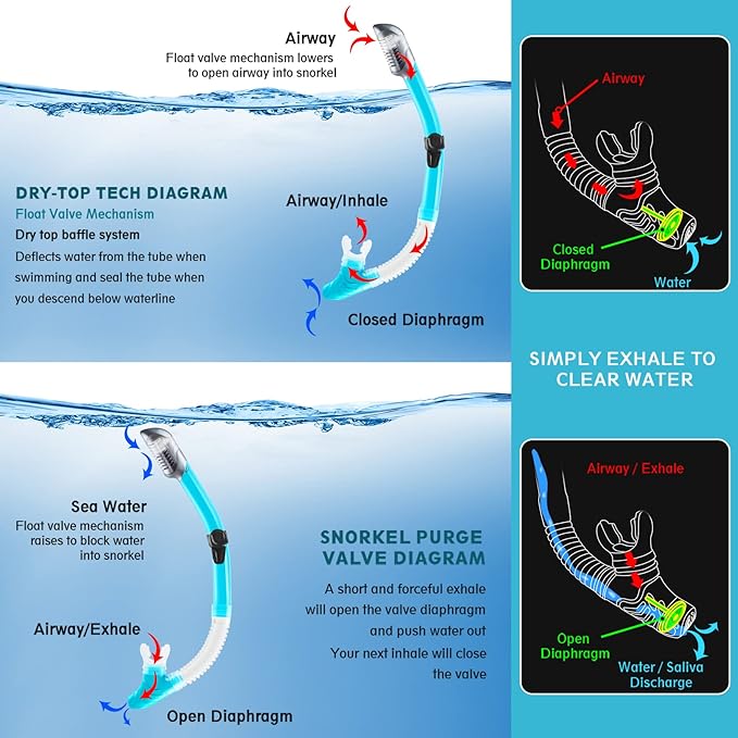 ZEEPORTE Mask Fin Snorkel Set, Travel Size Snorkeling Gear for Adults with Panoramic View Anti-Fog Mask, Trek Fins, Dry Top Snorkel and Gear Bag for Swimming Training, Snorkeling Kit Diving Packages-StrideForce Fitness