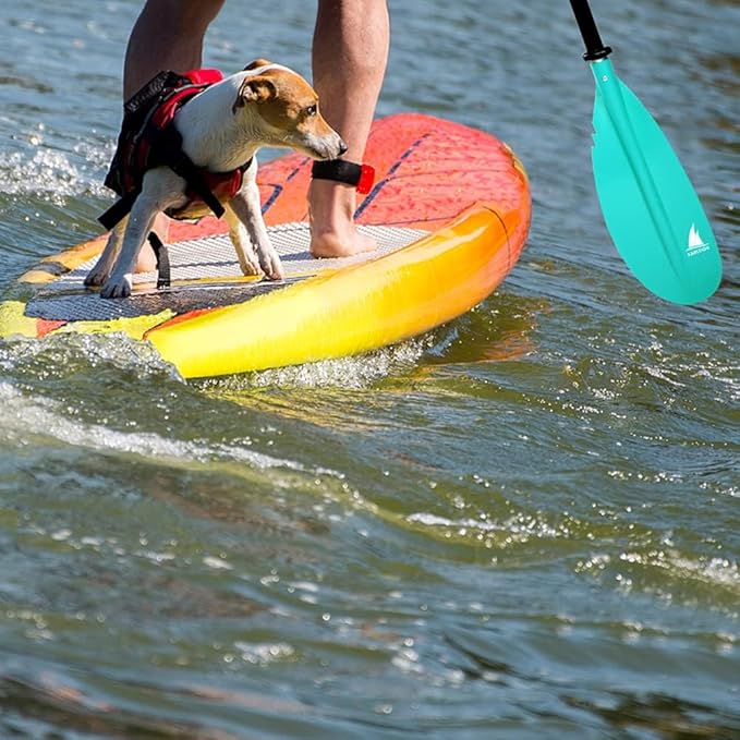 Kayak Paddle - Adjustable 2 Pieces Aluminum Alloy Shaft with Glass Fiber Blade for Surfing,Oar Fishing Easy Packable Travel-StrideForce Fitness