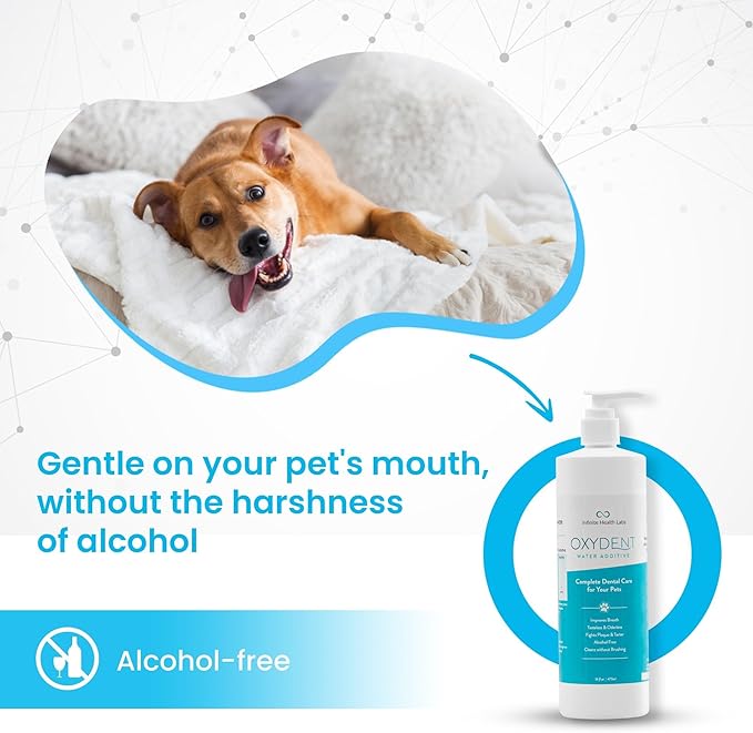 Oxydent Premium Pet Dental Care Solution - Pet Water Additive & Mouthwash for Teeth Cleaning - Eliminate Bad Dog & Cat Bad Breath - Dog Dental Rinse - Fights Tartar & Plaque