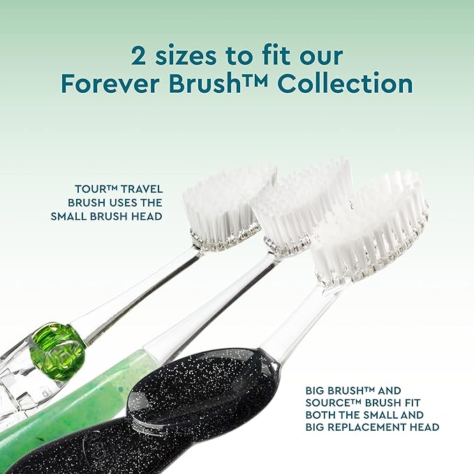 RADIUS Toothbrush Replacement Brush Heads 2-Count Improve Gum Health & Reduce Gum Issues - Super Soft - Pack of 1