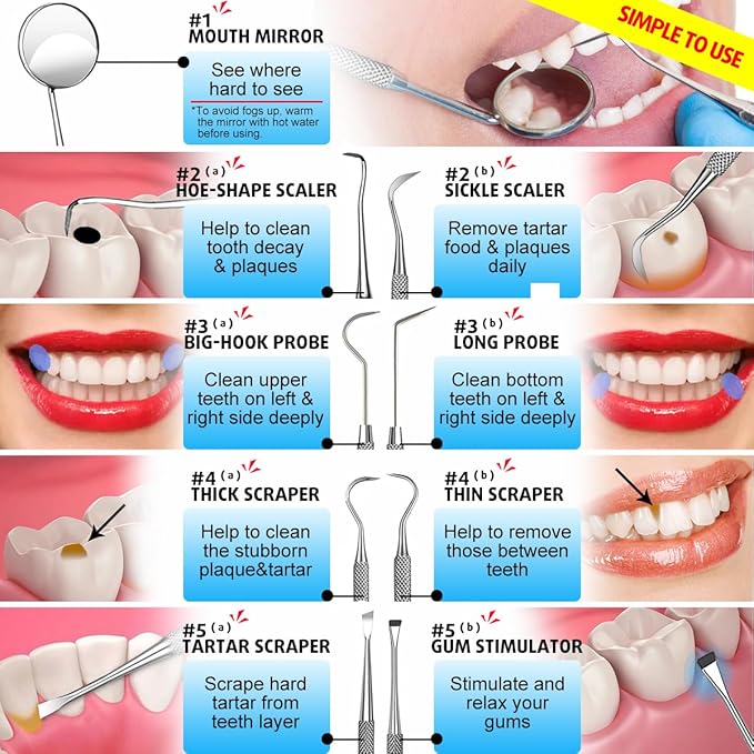 G.CATACC 10 Pack Dental Tools, Professional Plaque Remover for Teeth Cleaning Tools Set, Stainless Steel Hygiene Kit with Dental Pick Tooth Scraper Plaque Tartar Remover Tongue Cleaner - with Case