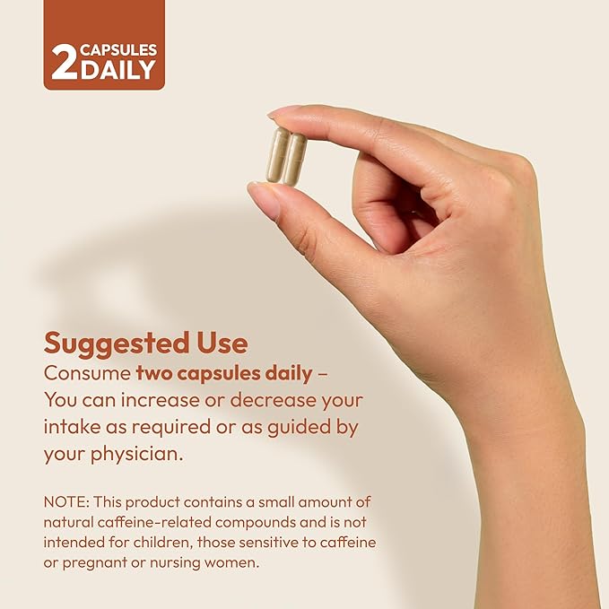 ANDREW LESSMAN Energy and Fat Metabolism Factors - 360 Capsules - Promotes Optimum Fat and Energy Metabolism, with Carnitine, Green Tea, Guarana, Ginseng, B-Complex. Easy to Swallow Capsules-StrideForce Fitness