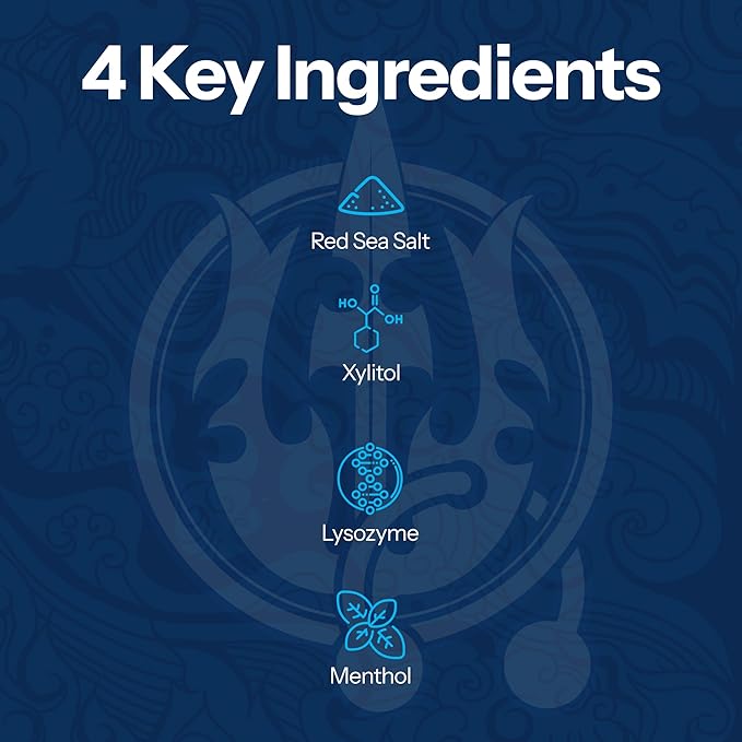 H2Ocean Healing Rinse Natural Sea Salt Oral Care - Mouth Rinse for Oral Care - Great for Piercings, Sore Throats & Gum Health - Alcohol- & Fluoride-Free Mouthwash - Arctic Ocean Mint, 16 oz