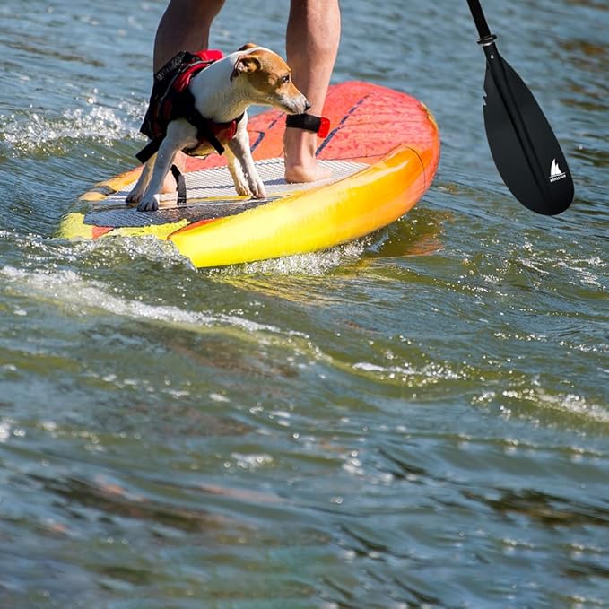 Kayak Paddle - Adjustable 2 Pieces Aluminum Alloy Shaft with Glass Fiber Blade for Surfing,Oar Fishing Easy Packable Travel-StrideForce Fitness