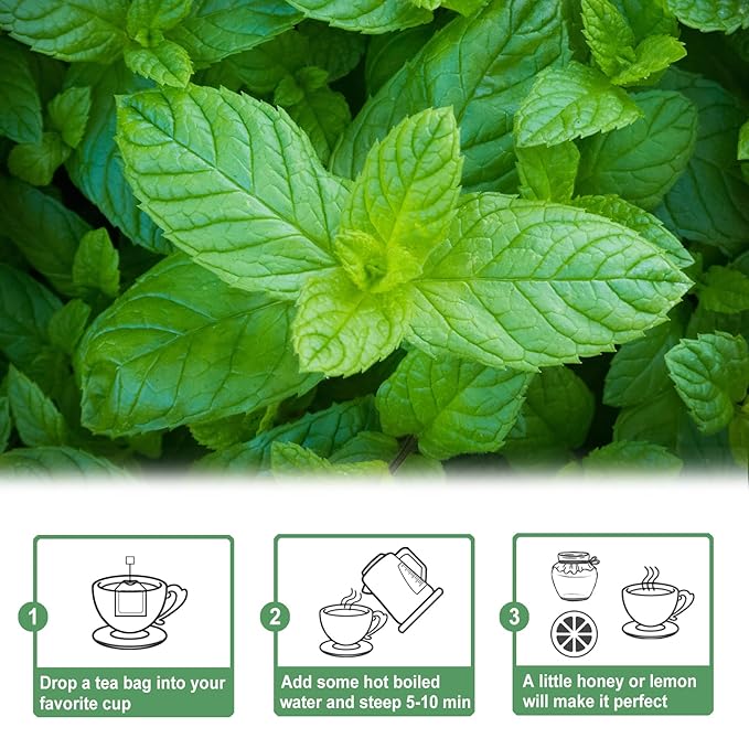 TEARELAE - Spearmint Tea - 1.5g x 50 Count - 100% Pure Spearmint Leaves - Non-GMO - Naturally Caffeine-free Herbal Tea - Support Digestion & Natural Breath Freshener-StrideForce Fitness