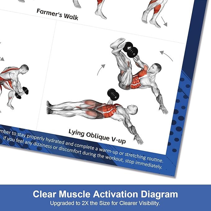 Dumbbell Workout Poster Set (2 Pack) - Workout Charts for Home Gym, Volume I & II - 18" x 24" with Enlarged Dumbbell Exercise Illustrations-StrideForce Fitness