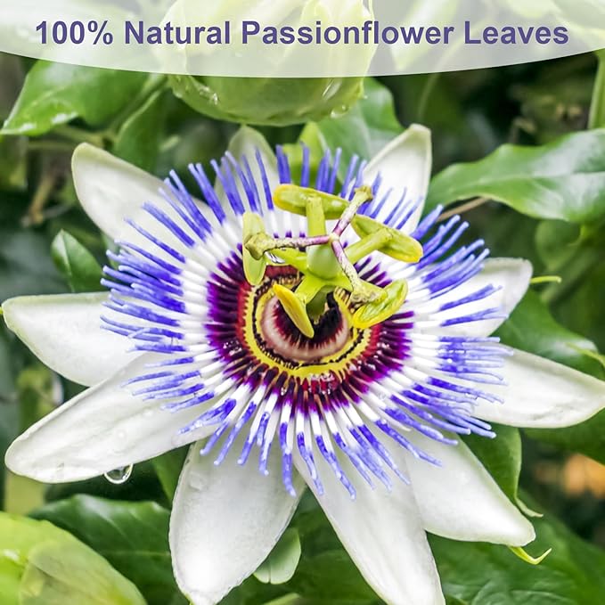 TEARELAE - Passion Flower Tea, 50 Count - Pure Passionflowers Leaves Tea Bags - Pasiflora Tea for Relaxation & Sleep- Non-GMO - Caffeine-Free-StrideForce Fitness