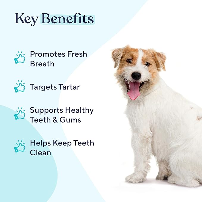 Pawfy Dog Breath Freshener with Specialized Dental Care Formula | Dog Teeth Cleaning & Mouthwash | Helps Freshen Dogs Breath with Easy Water Additive | Supports Plaque and Tartar Control
