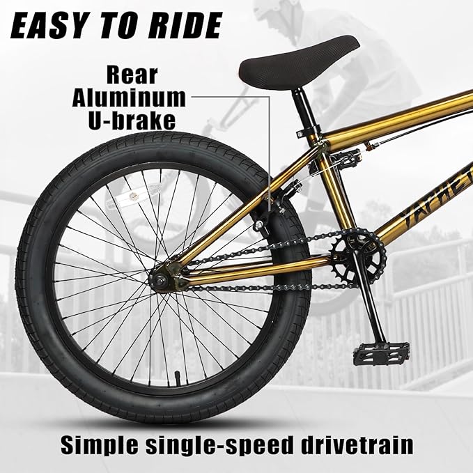 Freestyle BMX Bike, 20 Inch Yaphet Bicycle for Teen Beginner and Adult Riders, Bike with Hi-Ten Steel Frame, Multiple Colors-StrideForce Fitness
