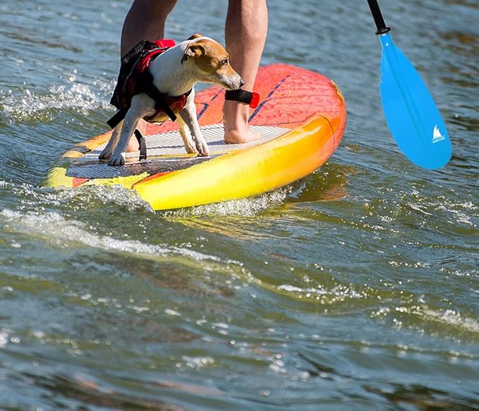 Kayak Paddle - Adjustable 2 Pieces Aluminum Alloy Shaft with Glass Fiber Blade for Surfing,Oar Fishing Easy Packable Travel-StrideForce Fitness