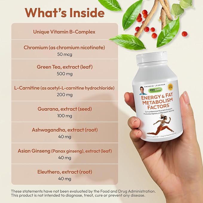 ANDREW LESSMAN Energy and Fat Metabolism Factors - 360 Capsules - Promotes Optimum Fat and Energy Metabolism, with Carnitine, Green Tea, Guarana, Ginseng, B-Complex. Easy to Swallow Capsules-StrideForce Fitness