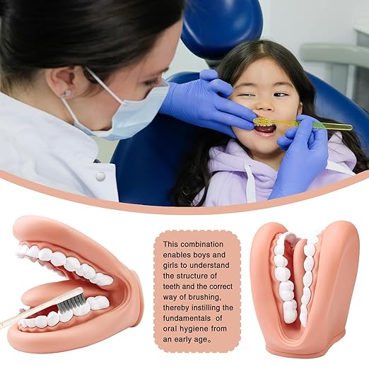 Mouth Puppet with Tongue Teeth for Speech Therapy Soft Silicone Giant Teeth Demonstration Model Brushing Oral Model（1pc Mouth Puppet+1pc Toothbrush)