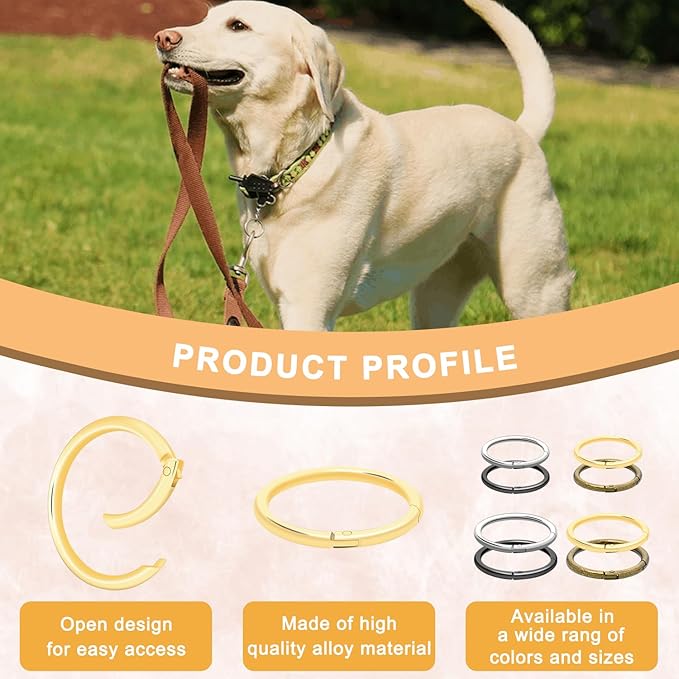 10Pack 2" Large Round Carabiner Clips, Metal Spring O Rings for Organizer Key Rings, Paracord Keychain Lanyard, Pet Chains, Purse Hardware, Key Snap Hooks DIY Accessory (Gold)-StrideForce Fitness