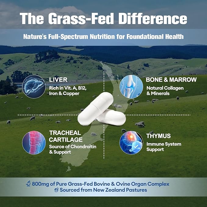 Oral Probiotics for Mouth Bad Breath for Adults & Gum Support | Fresh Breath After Coffee with 10 Billion CFU, Grass-Fed Organ Complex | 60 Capsules