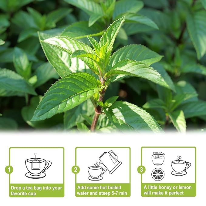 TEARELAE - Peppermint Tea Bags, 80 Count - 100% Pure Peppermint Leaves - Non-GMO - Naturally Caffeine-free Herbal Tea - Support Digestion & Natural Breath Freshener-StrideForce Fitness
