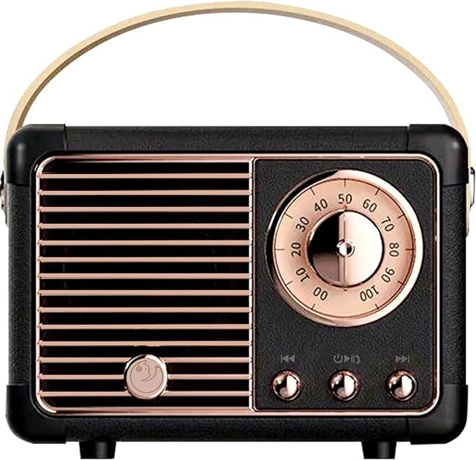 Retro Bluetooth Speaker, Vintage Decor, Small Portable Wireless Speaker,Hands-Free Call,400mA Battery,TF Card,Aux Line, for iOS Android Smartphone Home Office Gift Ideas Black-StrideForce Fitness