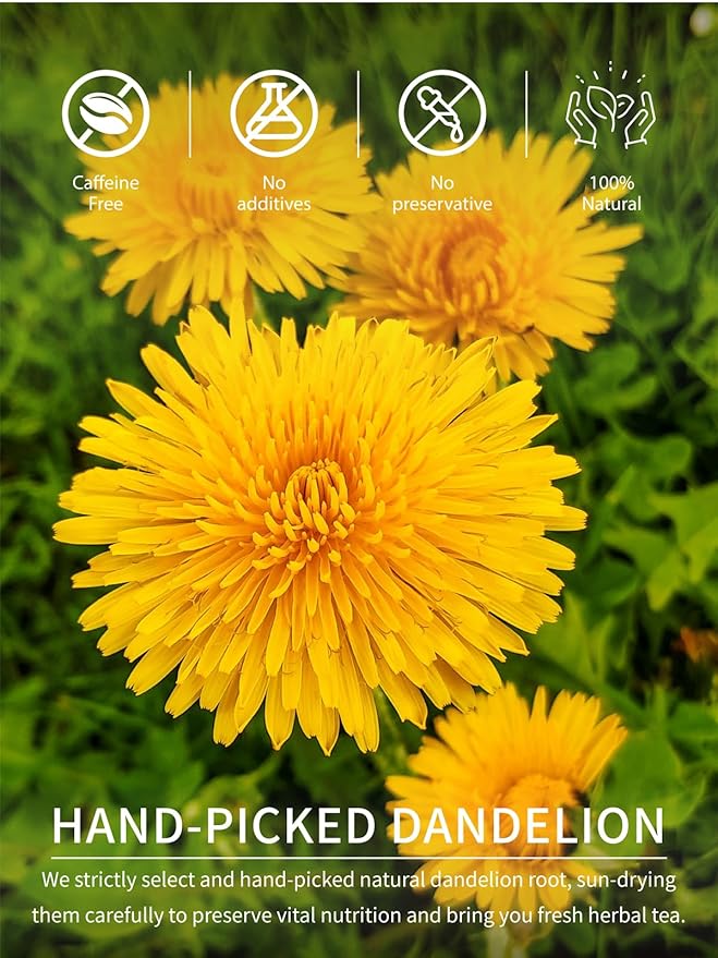TeeLux Dandelion Root Tea Bags, Premium Raw Dandelion Root Tea, Smooth Taste, Caffeine Free, 100 Count