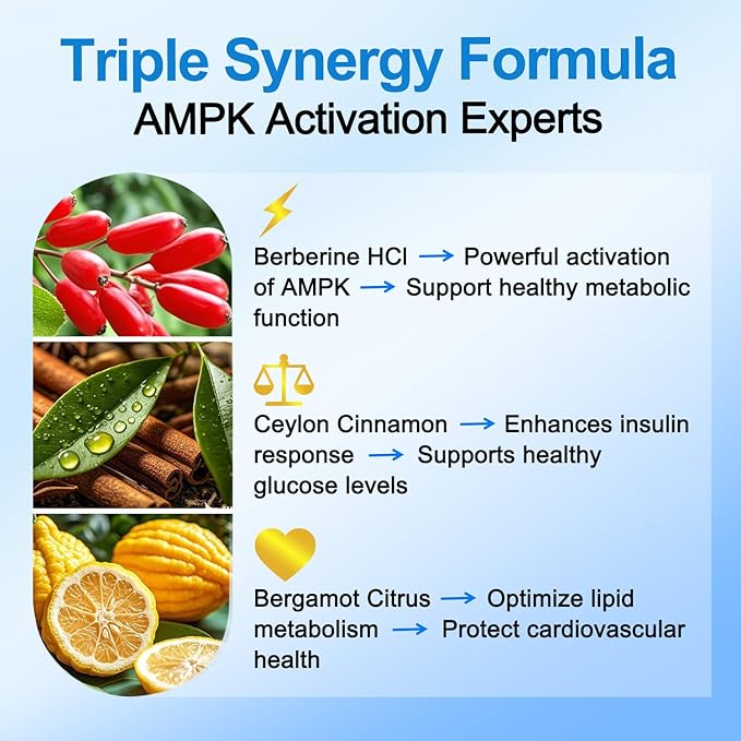 Premium Berberine Supplement Supports AMPK Metabolic, Liposomal Berberine with Ceylon Cinnamon - Classic 1500mg Formula for Healthy Metabolism & Weigh*t - 3X Absorption - Vegan, Non-GMO, 120 Count-StrideForce Fitness