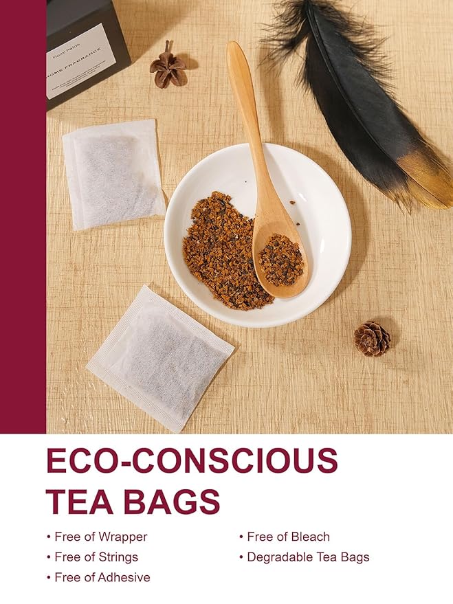 TeeLux Chaga Tea Bags, Pure & Natural Chaga Mushroom Tea, Smooth Flavor, Caffeine Free, 100 Count