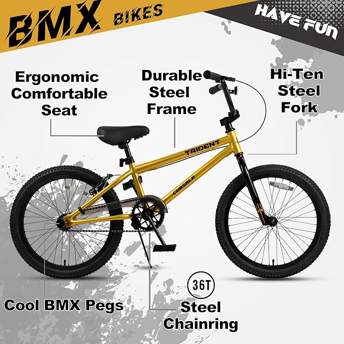 20 24 26 Inch BMX Race Bike Trident Bicycles Beginner-Level to Advanced Riders with 2 Pegs, Multiple Colors-StrideForce Fitness