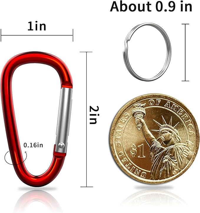 30PCS Aluminum Carabiner Clips, 2" D Shape Spring Snap Hooks Carabiner with 30PCS Keyring Keychain Hook-StrideForce Fitness