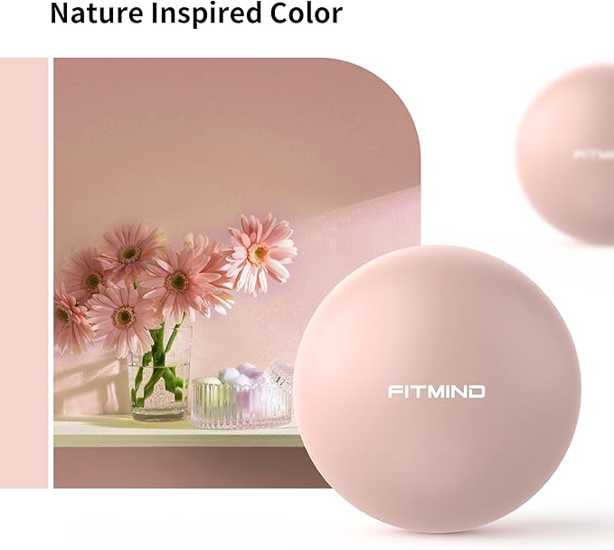 Pilates Ball - 10 Inch Core Ball for Yoga, Stability, Fitness, Ab & Core Workout, Physical Therapy-StrideForce Fitness