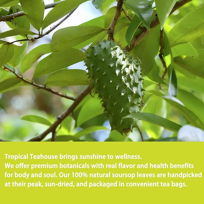 Samcci - Soursop Leaves Tea Bags, 40Teabags, 1.5g/bag, 100% Pure Sour Sop Graviola leaves Tea - Hojas De Guanabana Tea - Improve Digestion - Promotes Skin Health - Non-GMO - Caffeine-Free-StrideForce Fitness