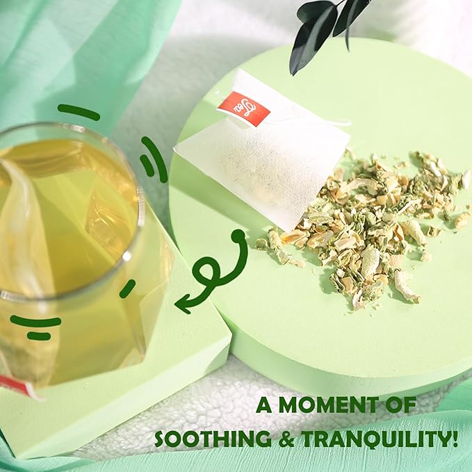 TEARELAE - Bitter Melon Tea Bags - 2g x 50 Count - 100% Pure Natural Cut & Sifted Dried Momordica Charantia Slices Herbal Tea - Non-GMO - Caffeine-free - Pleasantly Bitter Flavor-StrideForce Fitness