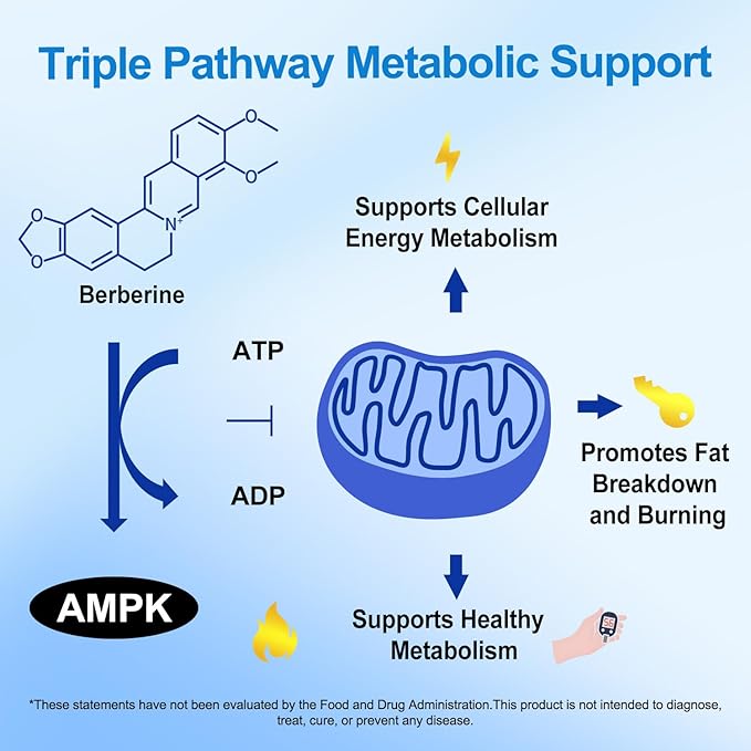 Premium Berberine Supplement Supports AMPK Metabolic, Liposomal Berberine with Ceylon Cinnamon - Classic 1500mg Formula for Healthy Metabolism & Weigh*t - 3X Absorption - Vegan, Non-GMO, 120 Count-StrideForce Fitness