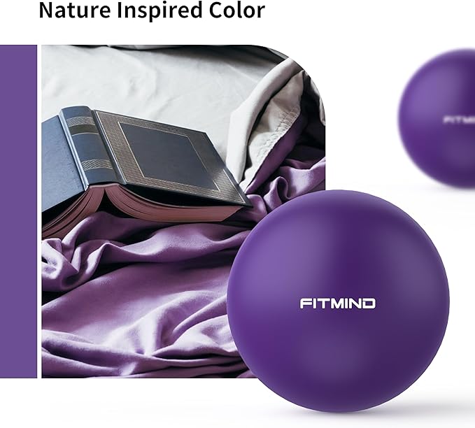 Pilates Ball - 10 Inch Core Ball for Yoga, Stability, Fitness, Ab & Core Workout, Physical Therapy-StrideForce Fitness
