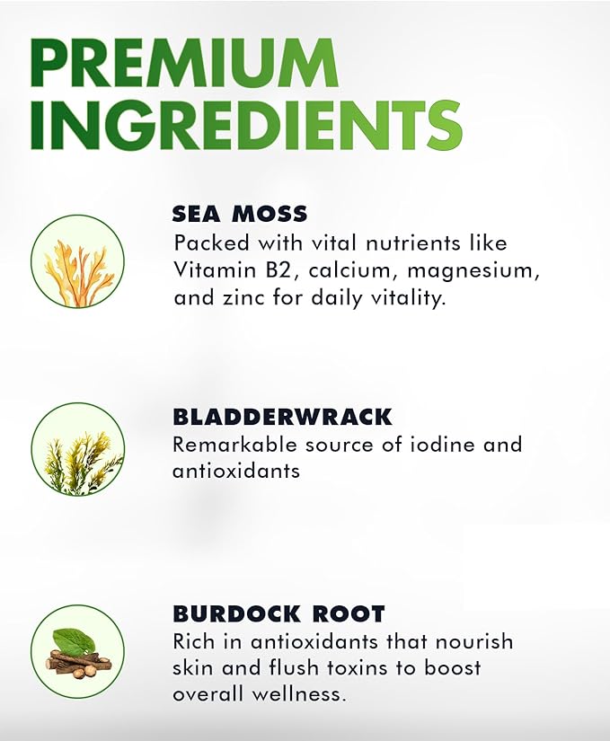 Sea Moss Gummies - Irish sea Moss raw Organic, Bladderwrack, Burdock Root. Contains Sea Moss Gel and Powder. Superfoods for Vegan, Keto and Dr Sebi Diet. Immune Boosting (2 Packs)-StrideForce Fitness