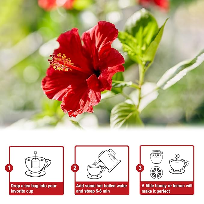 TEARELAE - Hibiscus Tea Bags - 2g x 80 Count - 100% Pure Hibiscus Flowers - Country of Origin Nigeria - Non-GMO - Caffeine-free - Aid Digestion & Support Heart Health-StrideForce Fitness