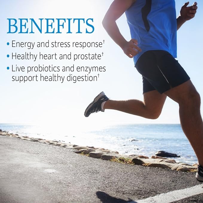 Garden of Life Vitamin Code Raw One for Men, Once Daily Multivitamin, 30 Capsules, One a Day Mens Vitamins Plus Fruit, Veggies & Probiotics for Mens Health, Vegetarian Multivitamins-StrideForce Fitness