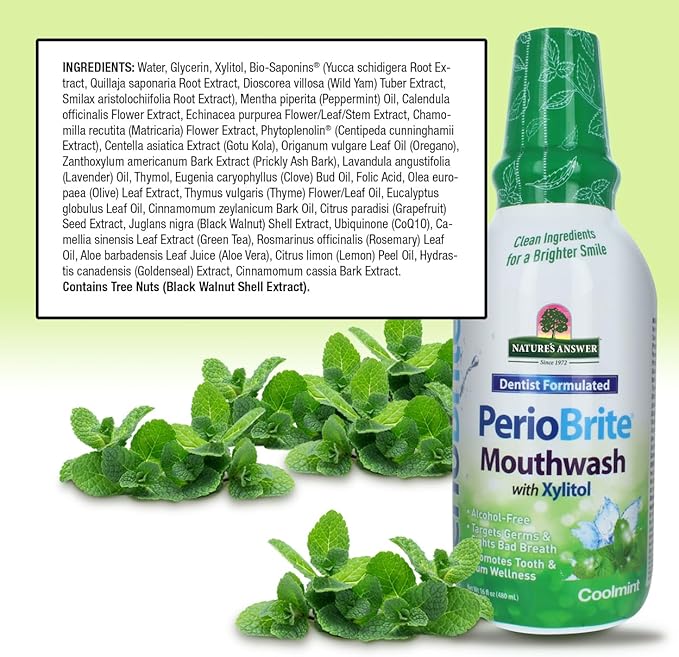 Nature's Answer PerioWash Mouthwash Alcohol-Free Cool Mint - 16 fl oz | Fluoride Free | Natural Breath Freshener | Stain Remover | Natural Teeth Whitener