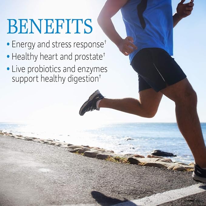 Garden of Life Vitamin Code Raw One for Men, Once Daily Multivitamin, 75 Capsules, One a Day Mens Vitamins Plus Fruit, Veggies & Probiotics for Mens Health, Vegetarian Multivitamins-StrideForce Fitness