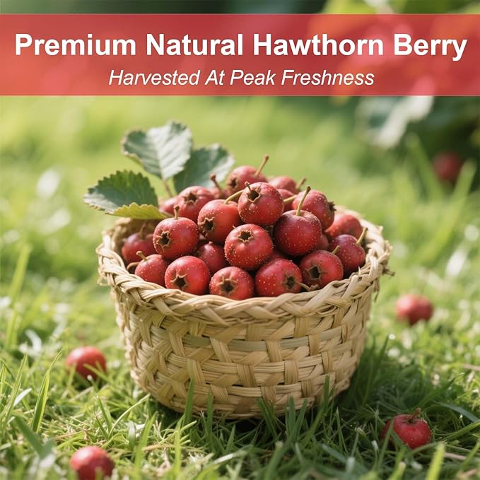 TEARELAE - Hawthorn Berry Tea, 30 Count - Pure Hawthorne Berries Herbal Tea Bags - Sweet and Tangy Flavor - Aid Digestion - Non-GMO - Caffeine-Free-StrideForce Fitness